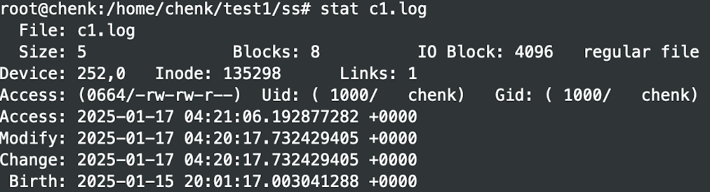 image-20250117000312926